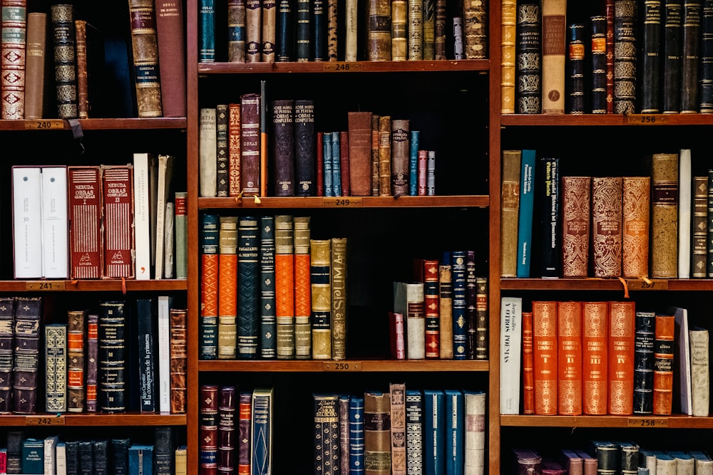 University Library